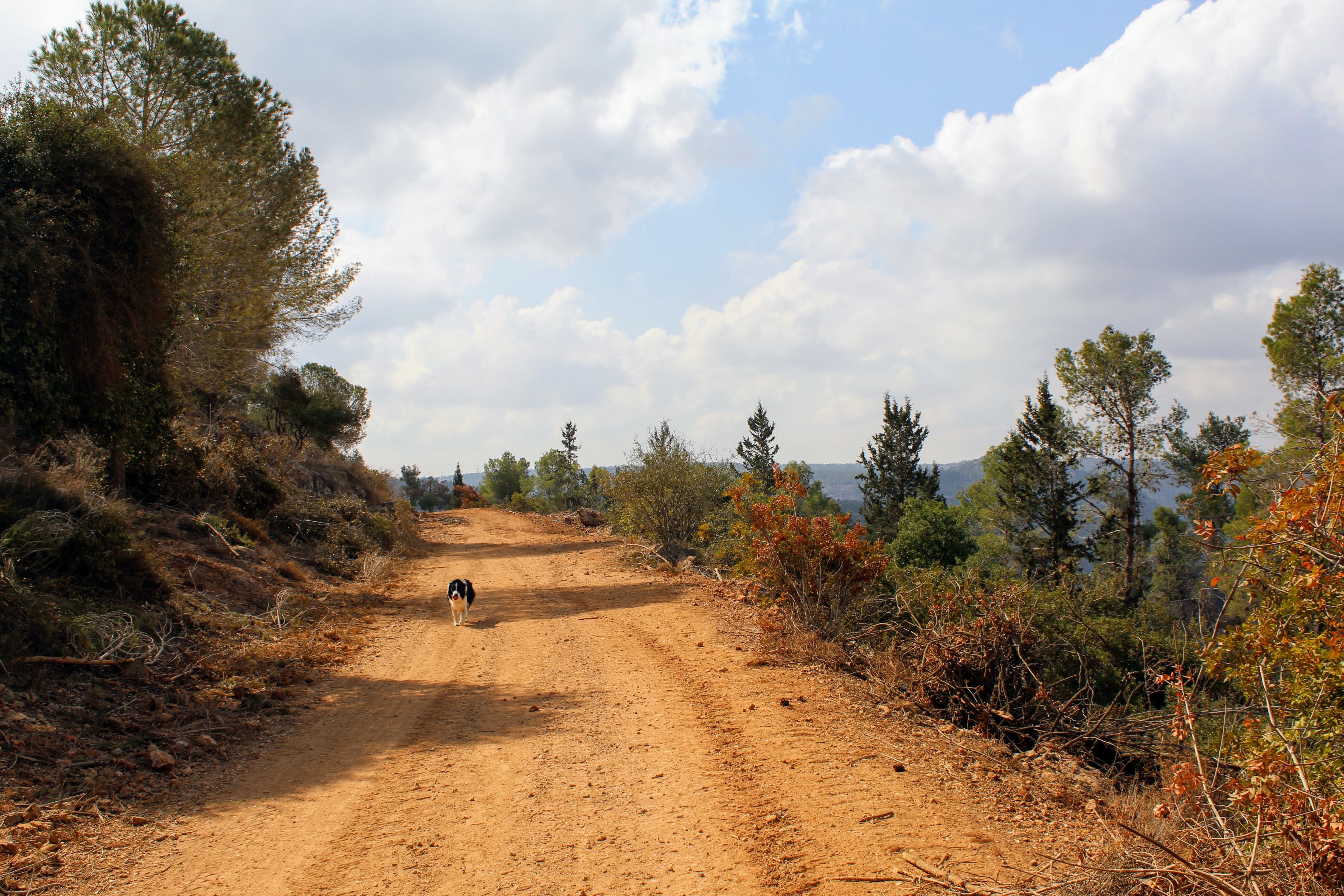 Sataf hike Mount Eitan.