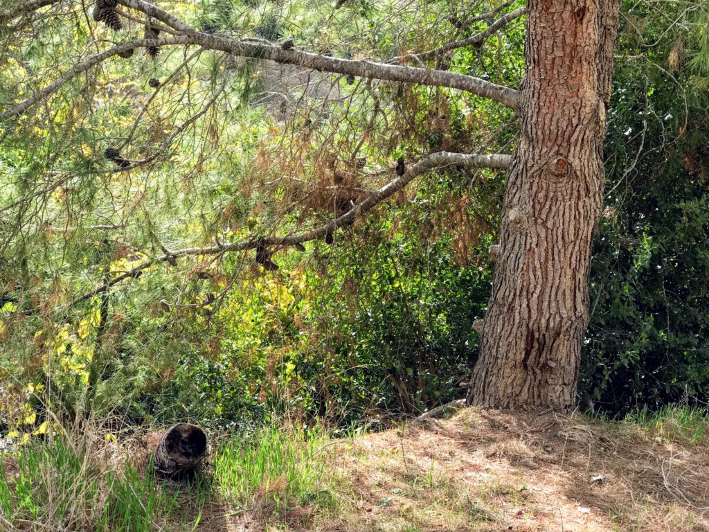 Hiking on the outskirts of Jerusalem.