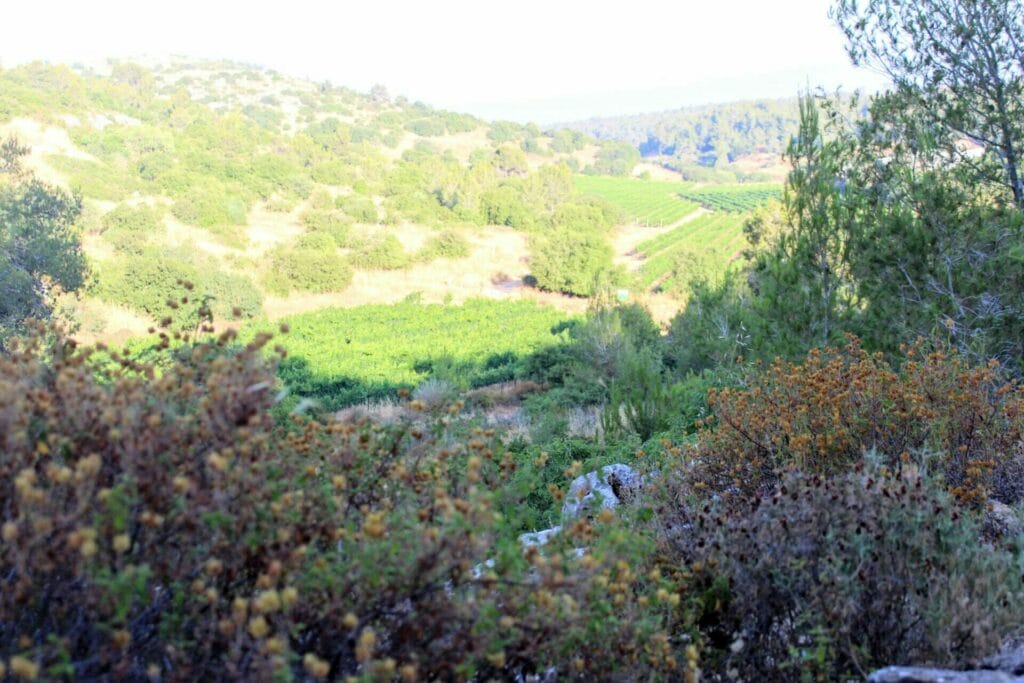Beit Itab hike in Nes Harim.